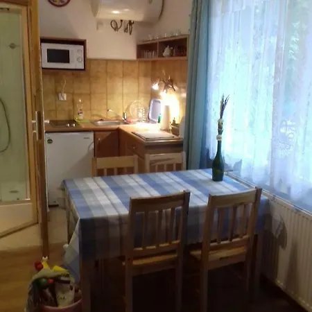 Pokoje U Pani Zosi 民宿 *