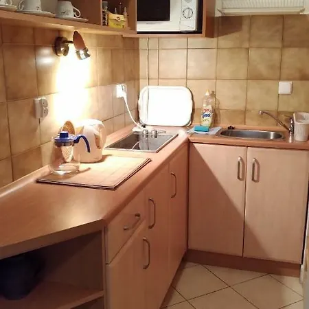 Pokoje U Pani Zosi 民宿 *