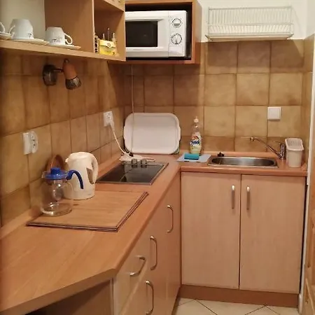 Pokoje U Pani Zosi 考斯赛力克